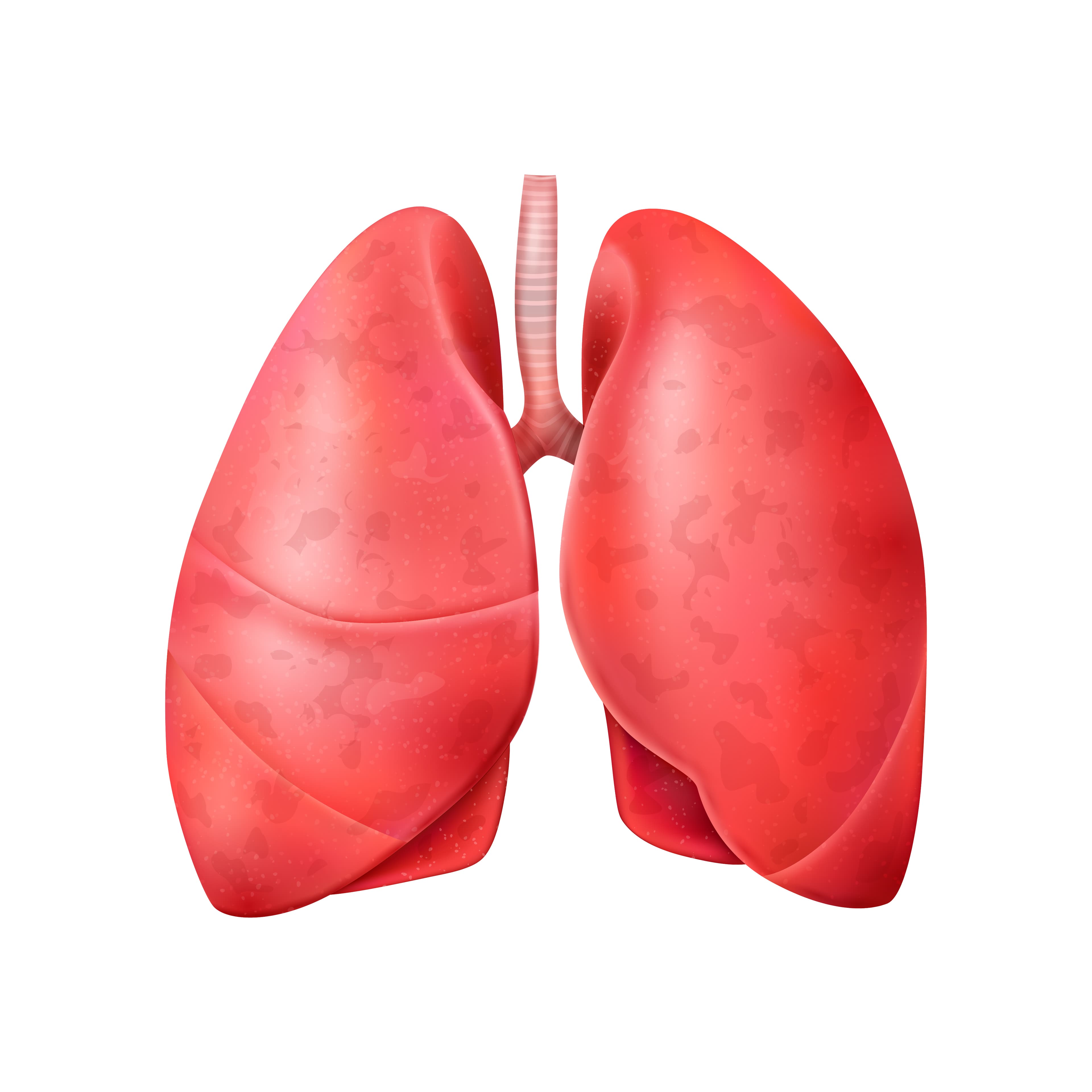 Lung Transplant